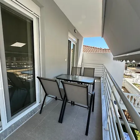 Palm Complex Calma Di Mare