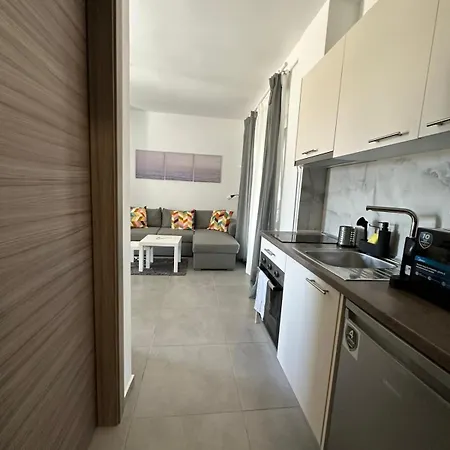 Palm Complex Calma Di Mare *