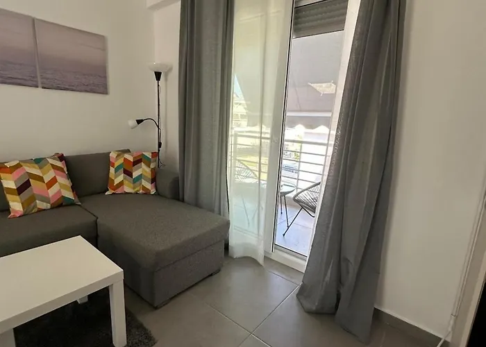 Palm Complex Calma Di Mare