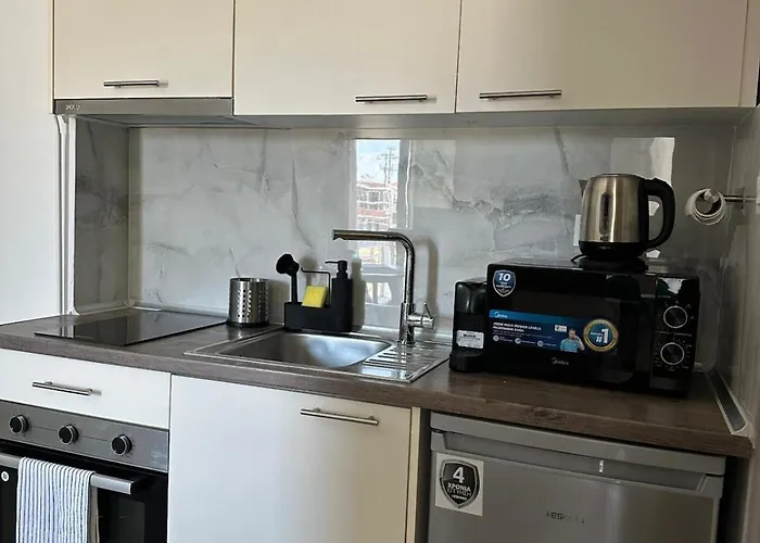 Palm Complex Calma Di Mare *