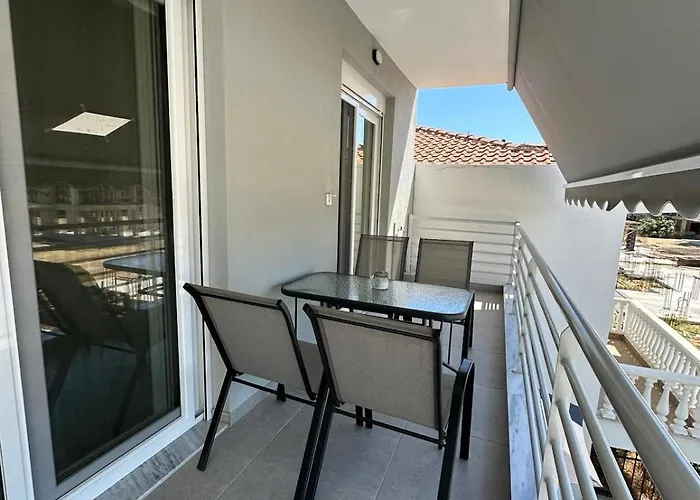 Palm Complex Calma Di Mare