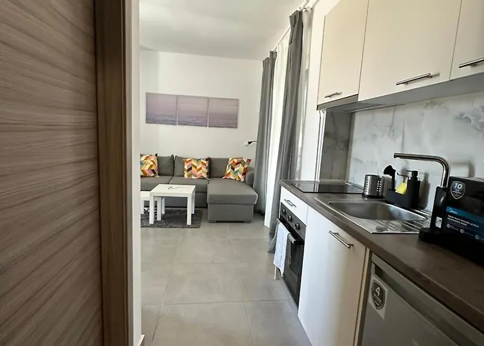 Palm Complex Calma Di Mare *